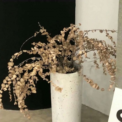 Furry绘画色彩搭配福瑞群